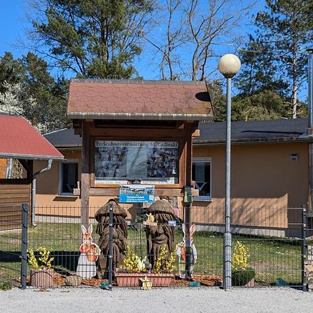 Spreewaldhaeuser Golinski Mit Kamin Am Neuendorfer See Alt Schadow Kültér fotó