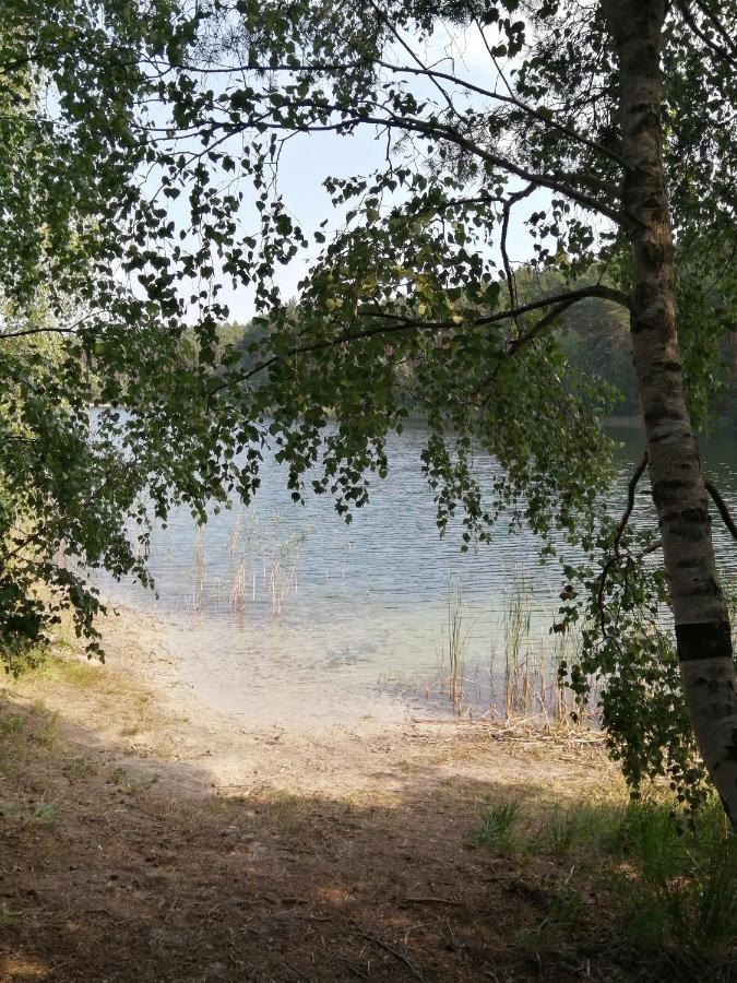Spreewaldhaeuser Golinski Mit Kamin Am Neuendorfer See Alt Schadow Kültér fotó