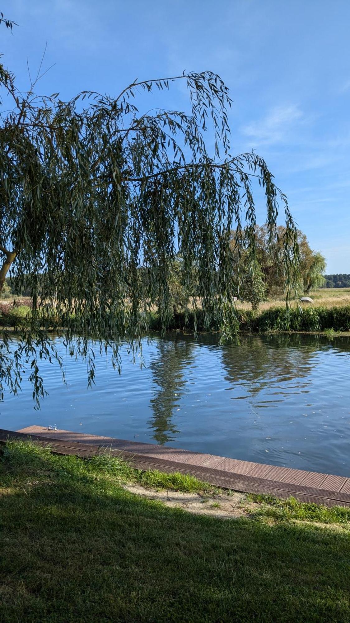 Spreewaldhaeuser Golinski Mit Kamin Am Neuendorfer See Alt Schadow Kültér fotó