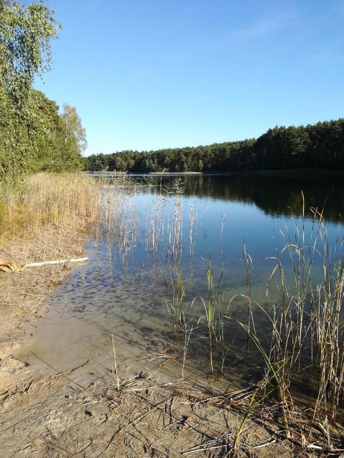 Spreewaldhaeuser Golinski Mit Kamin Am Neuendorfer See Alt Schadow Kültér fotó